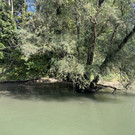 IMG_1393 - Kopie.JPG