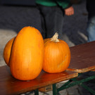 IMG_6983.JPG