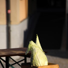 IMG_6984.JPG