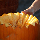 IMG_6991.JPG