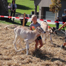 IMG_1459_jiw.jpg