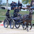 Kutschenfahren Pferdehof Bösch