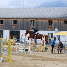 Springreitturnier Bösch