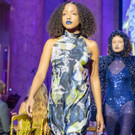 Vienna_at _307 von 329_.JPG