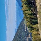 S__dtirol_2023_10_17_Ultental_Blick_in_die_Ferne_von_der_Fiechten_Alm.jpg