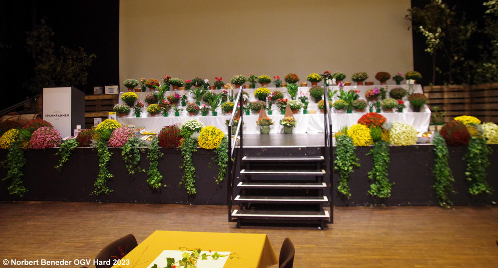 Blumenschmuck_2023_045 - Kopie.jpg