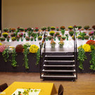 Blumenschmuck_2023_045 - Kopie.jpg