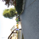 IMG_7443.JPG