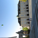 IMG_7457.JPG
