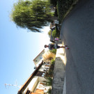 IMG_7467.JPG