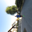IMG_7474.JPG