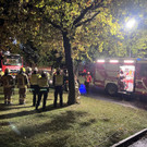 image00002.jpeg