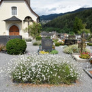 St. Michael Friedhof Paradiesgarten