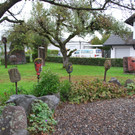 DSC_0445.JPG