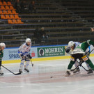 DSC03643.JPG