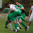 DSC06972a.jpg