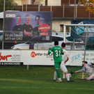 DSC08014a.jpg