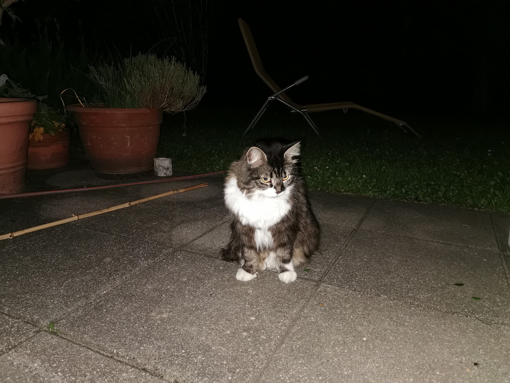 IMG_20220612_231819 1.jpg