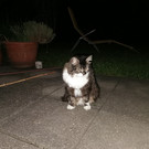 IMG_20220612_231819 1.jpg