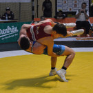 DSC_2738.jpg