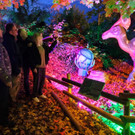 Neue Dinos im Lichterwald 