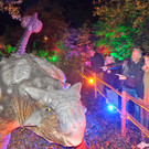 Bild_6_Neue_Dinos_im_Lichterwald_k_C_Reisinger.JPG