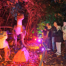 Bild_4_Neue_Dinos_im_Lichterwald_k_C_Reisinger.JPG