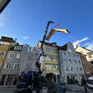 IMG_7734.jpg