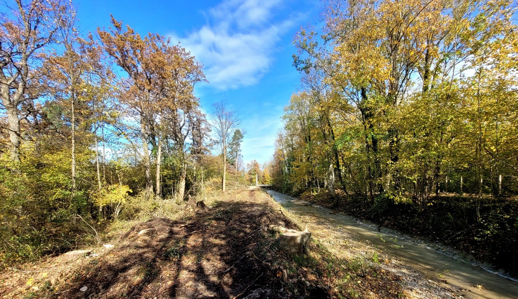 Ruggbach AUSBAU HOCHWASSERSCHUTZ BB Start BA 1 am 08-11-2023 _4_.jpg