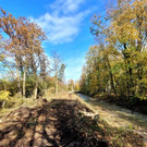 Ruggbach AUSBAU HOCHWASSERSCHUTZ BB Start BA 1 am 08-11-2023 _4_.jpg