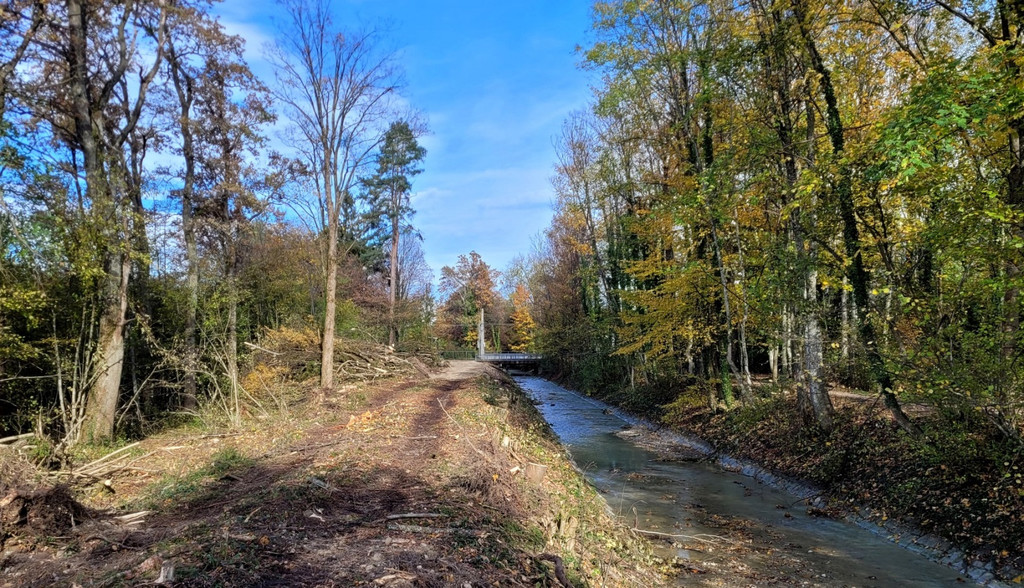 Ruggbach AUSBAU HOCHWASSERSCHUTZ BB Start BA 1 am 08-11-2023 _6_.jpg