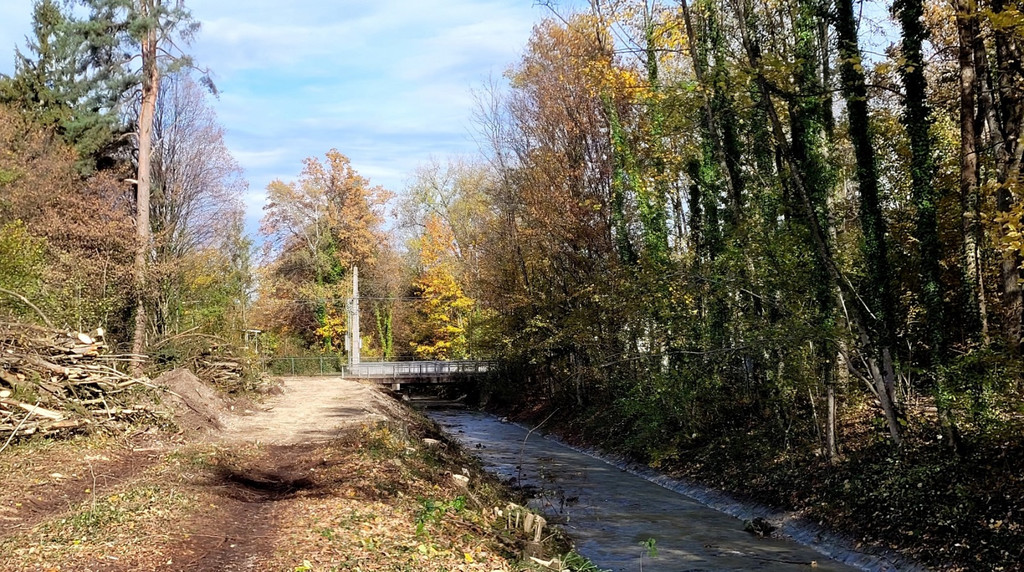 Ruggbach AUSBAU HOCHWASSERSCHUTZ BB Start BA 1 am 08-11-2023 _8_.jpg