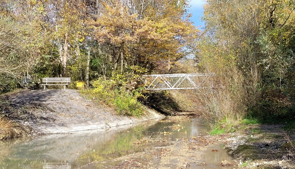 Ruggbach AUSBAU HOCHWASSERSCHUTZ D DOKU Bachverlauf 10-11-2023 _2_.jpg