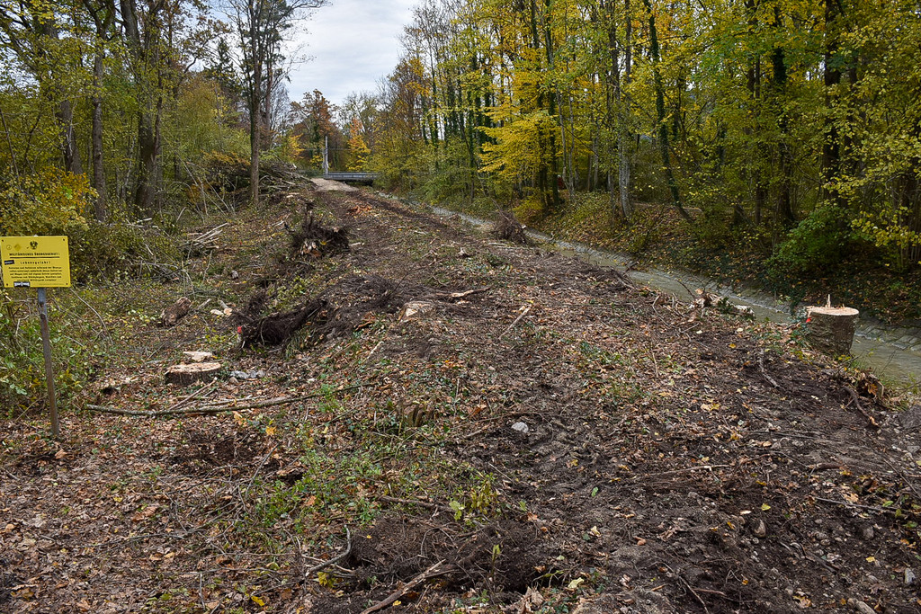 20231109_Ruggbach_Rodungsarbeiten-4.jpg