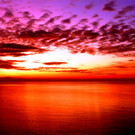 R__bi B__sch_Sonnenuntergang am Bodensee.JPG