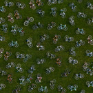 tomT_bicycle race.jpg