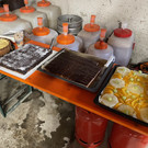 IMG_8775.jpeg