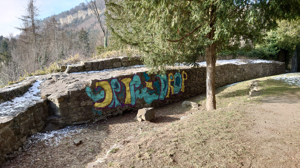 Sprayaktion 2_.JPG