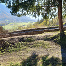 Ausblick Tostner Ried_DSC_6507.JPG