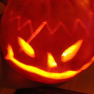 1213021.jpg