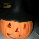1213053.jpg