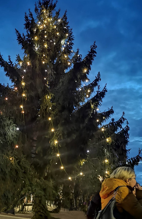 20221127_Weihnachtsmarkt_Baum.jpg