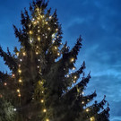 Impressionen des Weihnachtsmarktes 2022