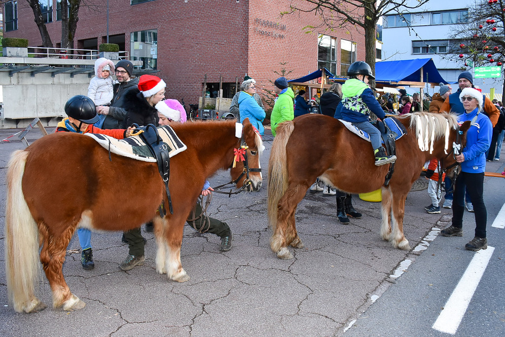 20221127_Weihnachtsmarkt_Pony-2.jpg