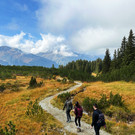 exkursion-europaschutzgebiet-wiegensee_53226139244_o.jpg