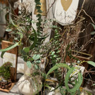 IMG-20231122-WA0009.jpg