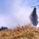 AFP_344H4KF.jpg