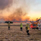 AFP_344F9CA.jpg