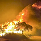 Australia_Wildfire_78536.jpg