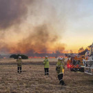 Australia_Wildfire_25253.jpg